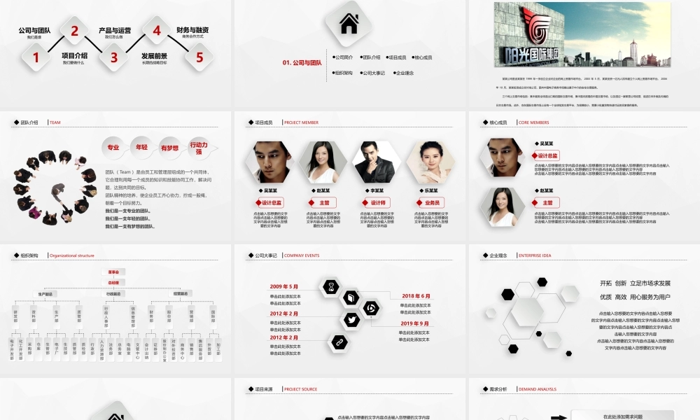 工作总结-亮亮图文旗舰店 (113).pptx