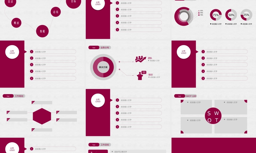 工作总结-亮亮图文旗舰店 (206).pptx