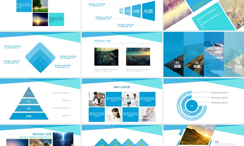 工作总结-亮亮图文旗舰店 (204).pptx