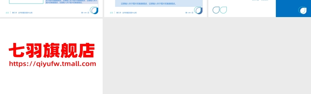 工作总结-亮亮图文旗舰店 (212).pptx