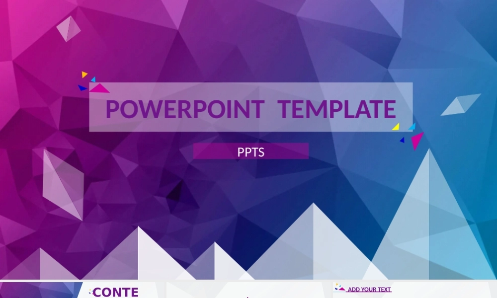 工作总结-亮亮图文旗舰店 (221).pptx