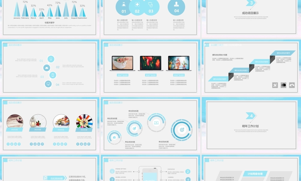 工作总结-亮亮图文旗舰店(22).pptx