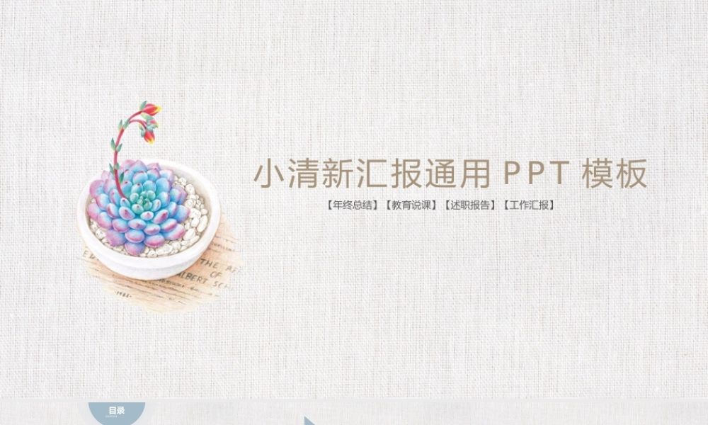 工作总结-亮亮图文旗舰店(62)(3).pptx