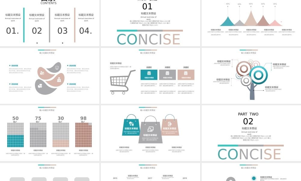 工作总结-亮亮图文旗舰店(171).pptx