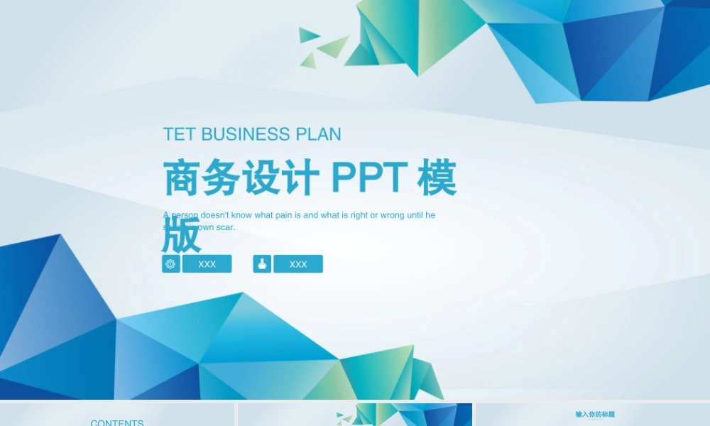 工作总结-亮亮图文旗舰店(165).pptx