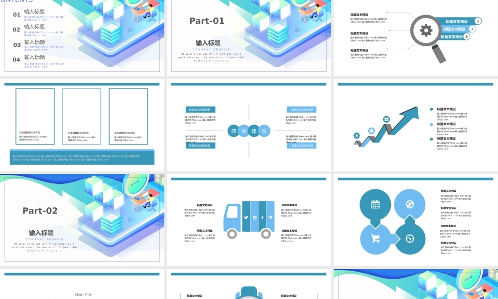 工作总结-亮亮图文旗舰店(201).pptx