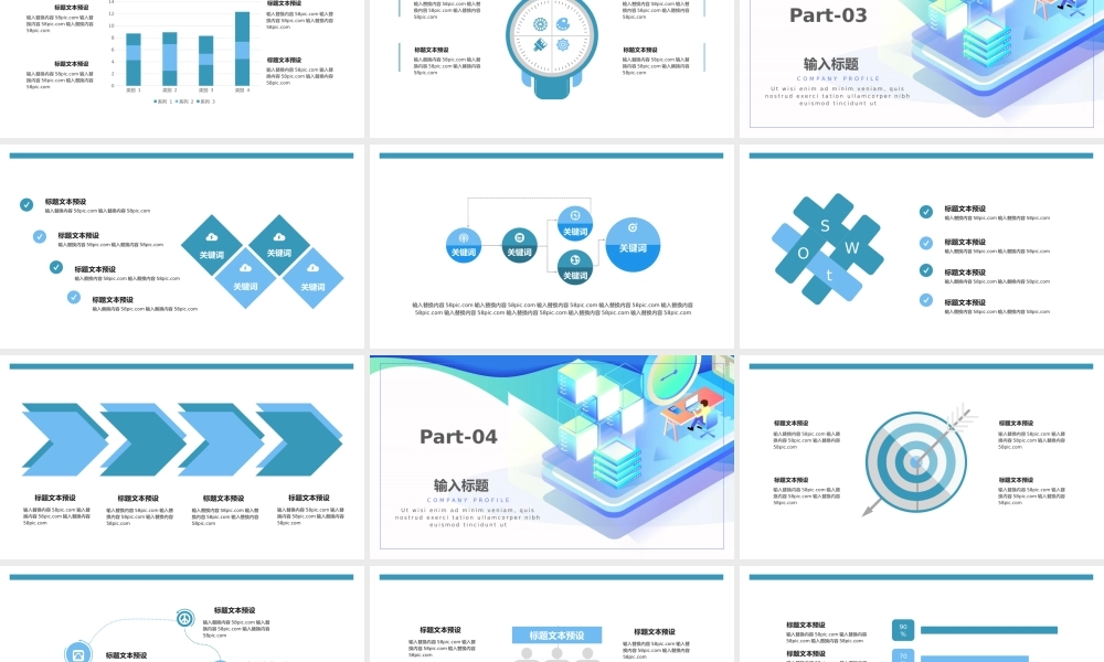工作总结-亮亮图文旗舰店(201).pptx