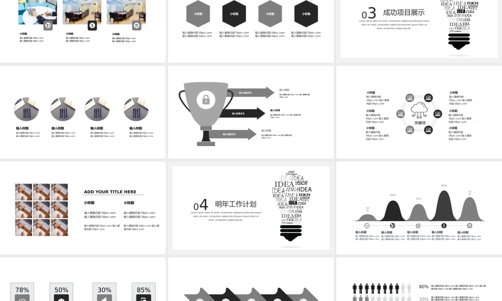 工作总结-亮亮图文旗舰店(203).pptx