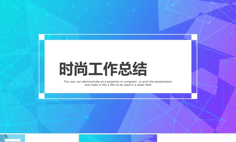 工作总结-亮亮图文旗舰店(206).pptx