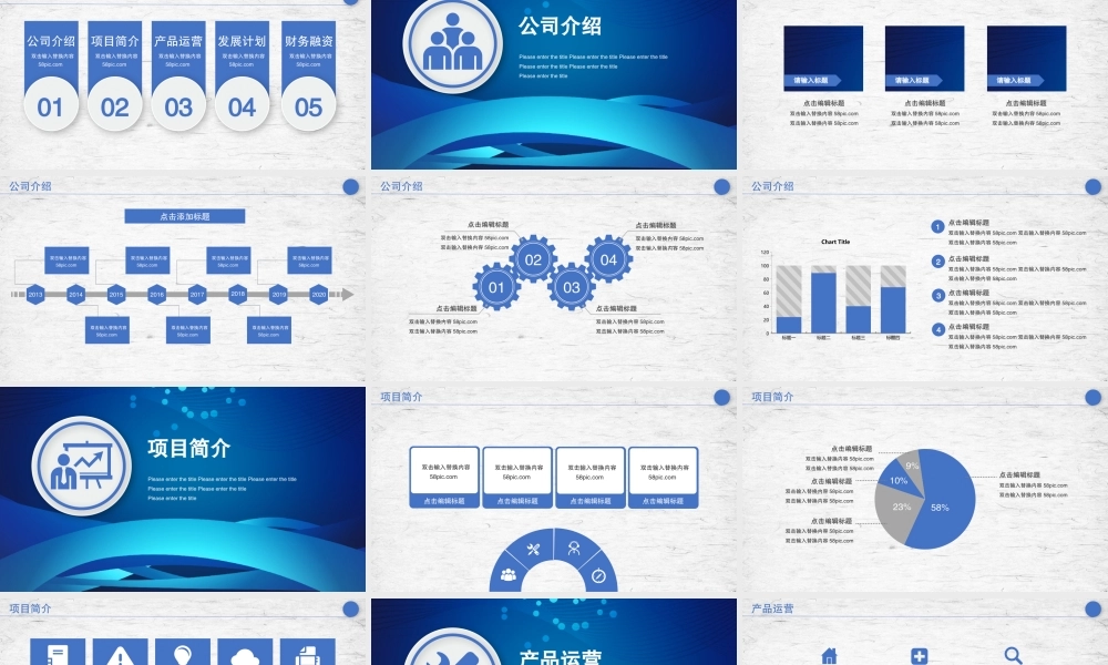 工作总结-亮亮图文旗舰店(213).pptx