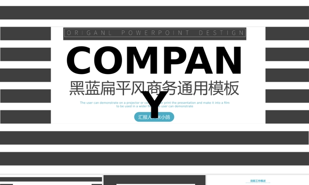 工作总结-亮亮图文旗舰店(228).pptx