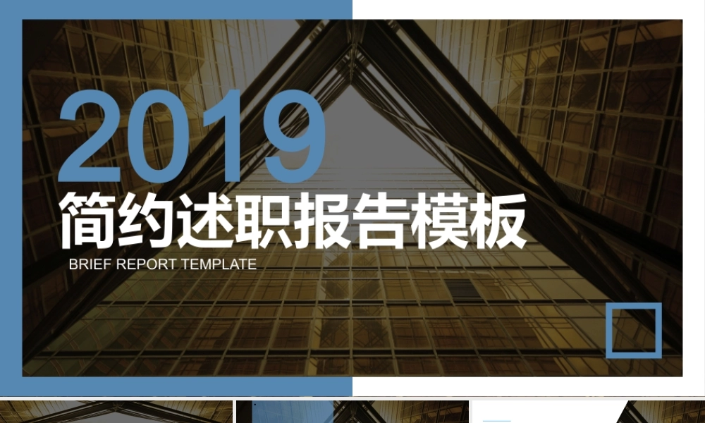 工作总结-亮亮图文旗舰店(255).pptx