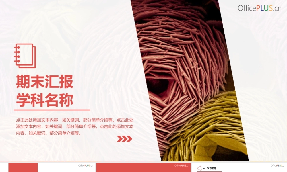 期末汇报-简约平面-活力橙色.pptx