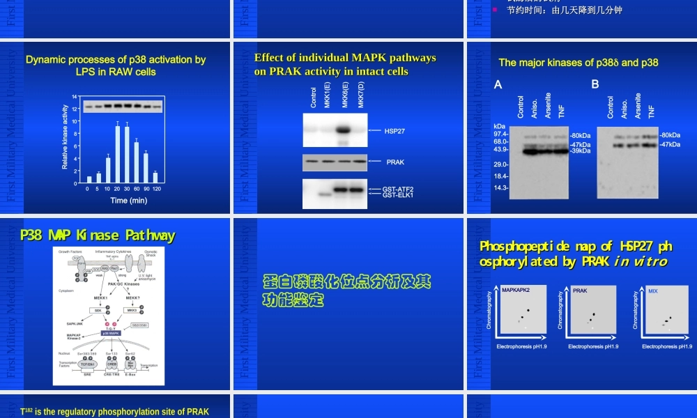 细胞信号转导的技术方法[公众微信号：bioworlde].ppt