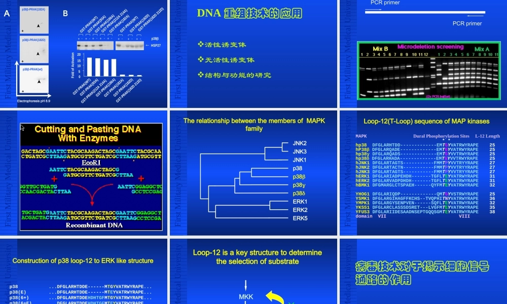 细胞信号转导的技术方法[公众微信号：bioworlde].ppt