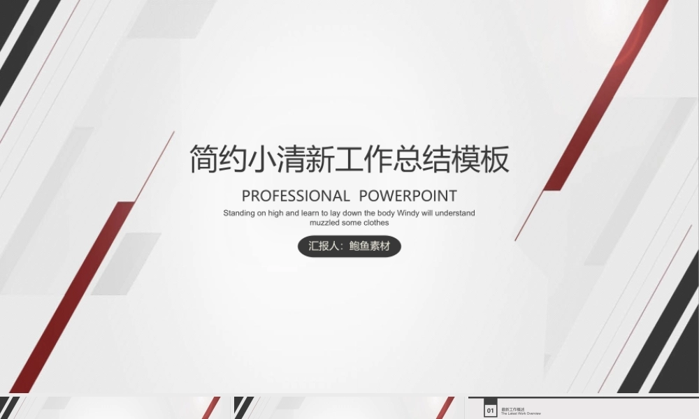 总结-亮亮图文旗舰店 (300).pptx