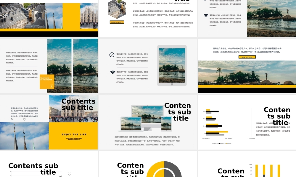 总结-亮亮图文旗舰店 (338).pptx