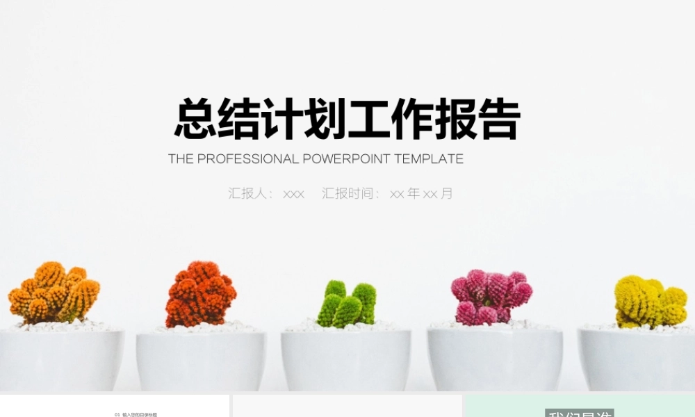 总结-亮亮图文旗舰店 (428).pptx