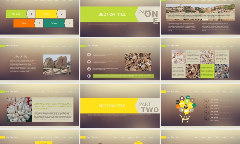 总结-亮亮图文旗舰店 (491).pptx