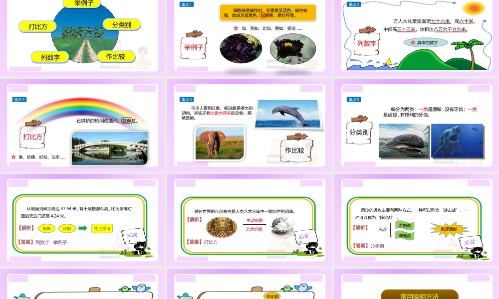 【精品】小升初语文知识点精讲说明文的说明方法总结.ppt