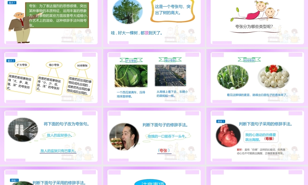 【精品】小升初语文知识点精讲 （修辞手法-夸张）.ppt