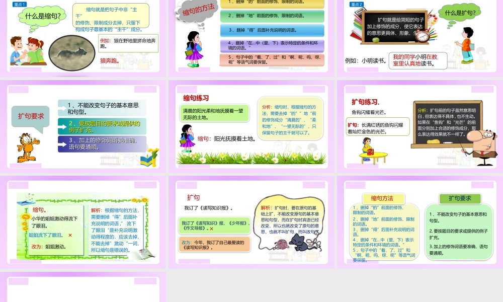 【精品】小升初语文知识点精讲 （缩句与扩句的方法）.ppt