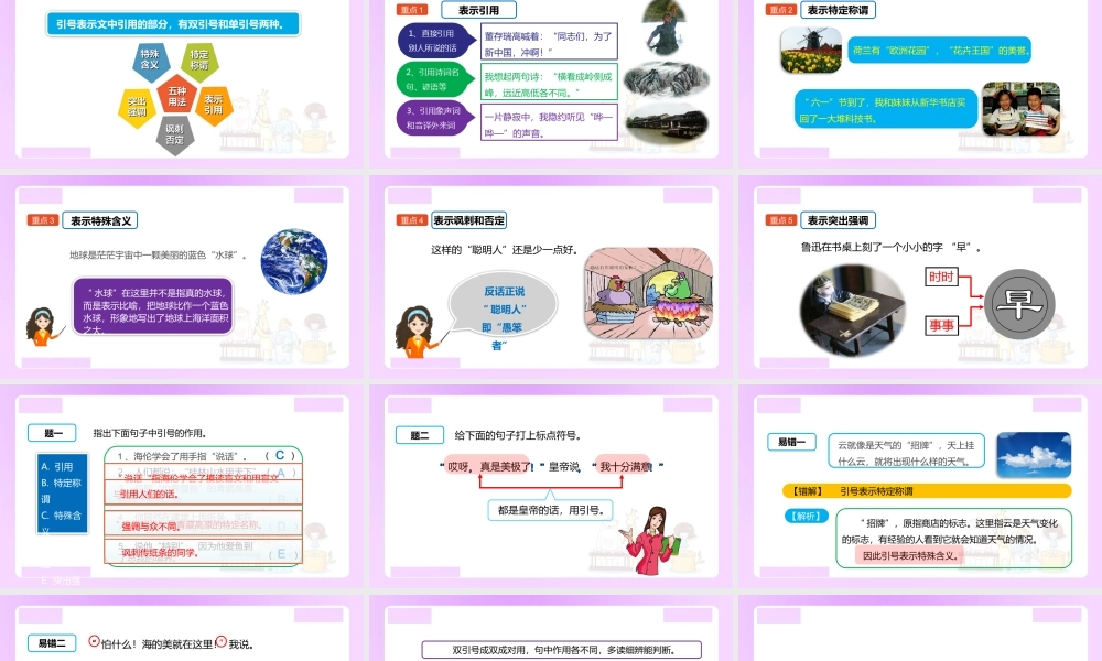 【精品】小升初语文知识点精讲 （特殊标点“双引号”的用法）.ppt