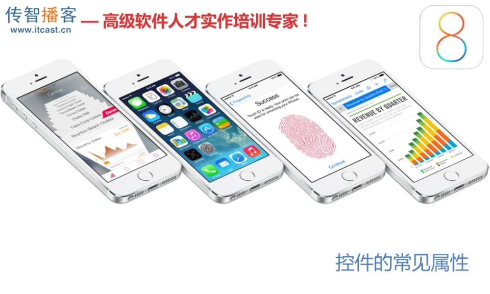 04-控件的常见属性.pptx