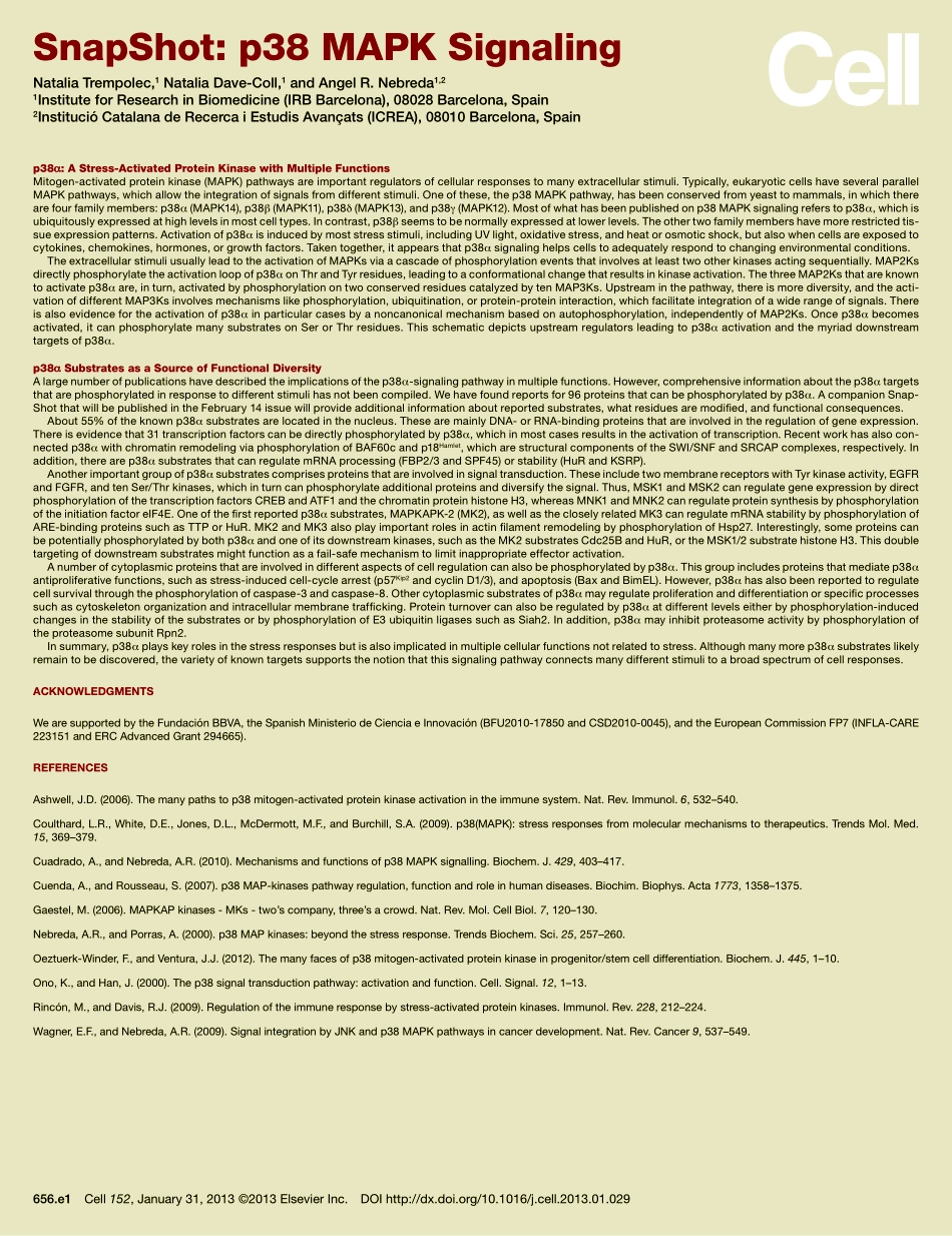 Cell-P38MAKP.PDF_第2页