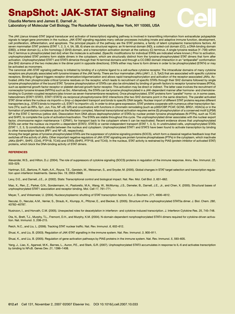 Cell-JAK-Stat.PDF_第2页