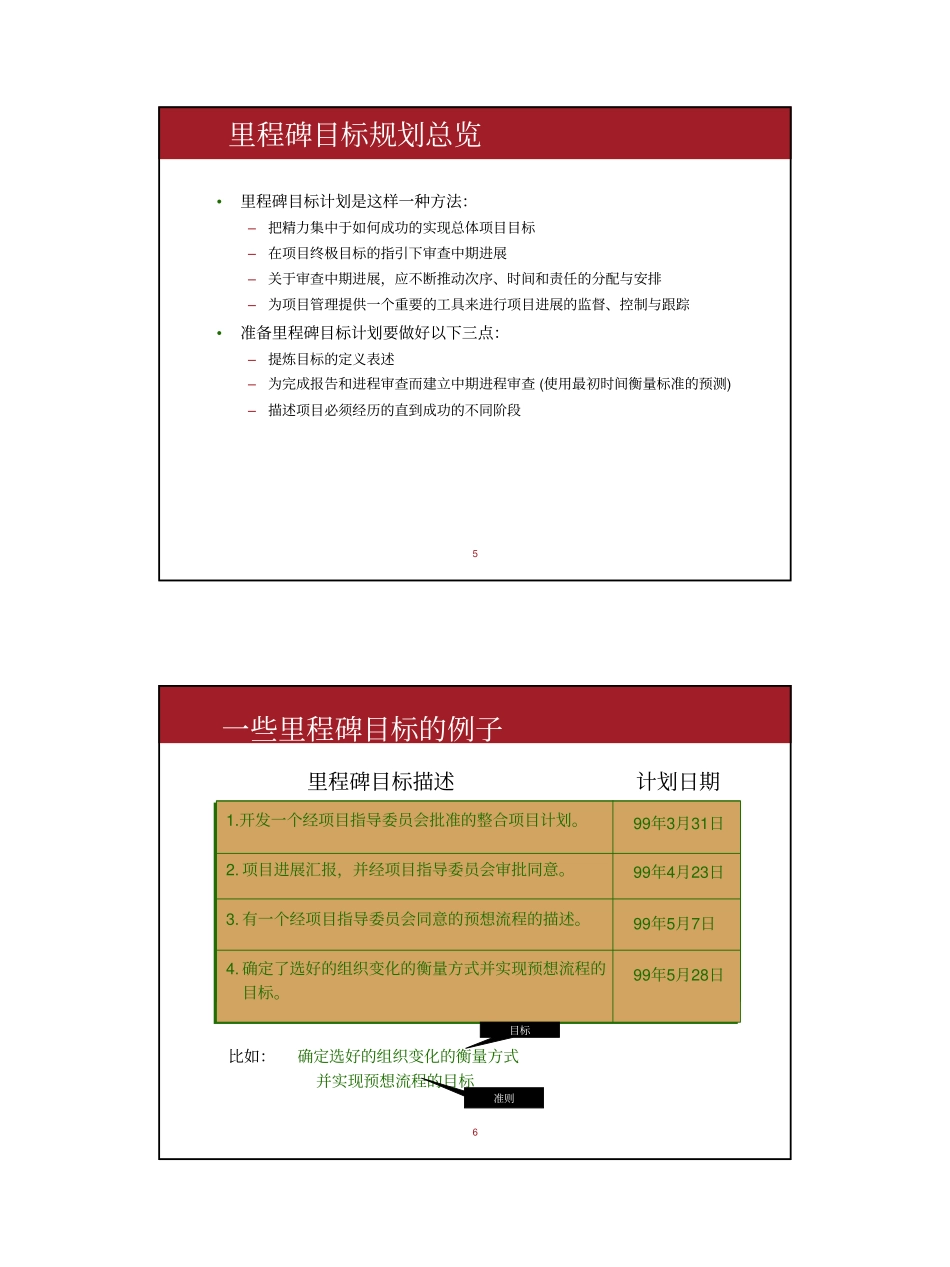05 - 里程碑目标计划.pdf_第3页