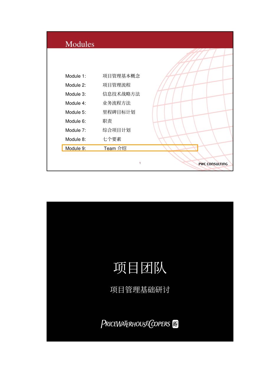 9 team 介绍.pdf_第1页