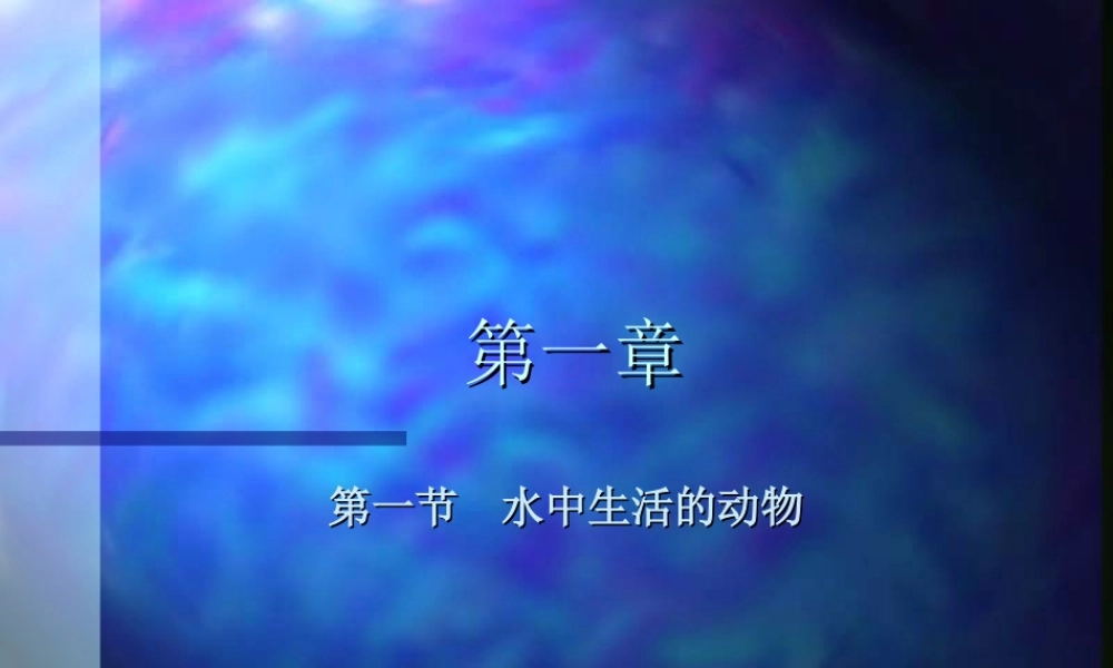 水中生活的动物kkdq1.ppt