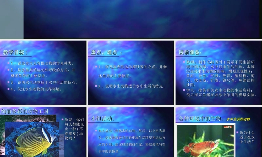 水中生活的动物kkdq1.ppt