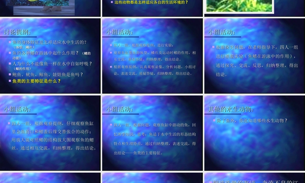 水中生活的动物kkdq1.ppt