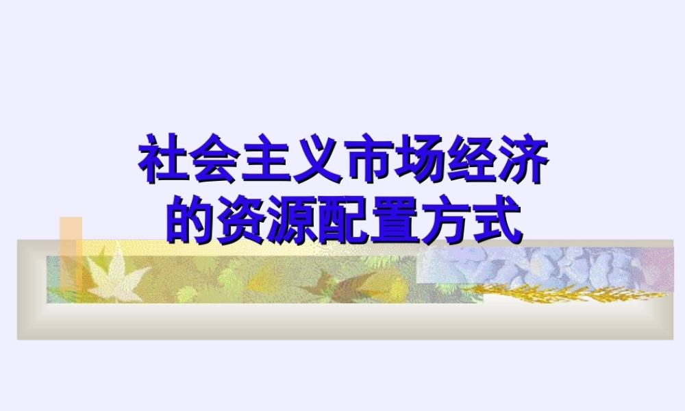 社会主义市场经济xlhff.ppt