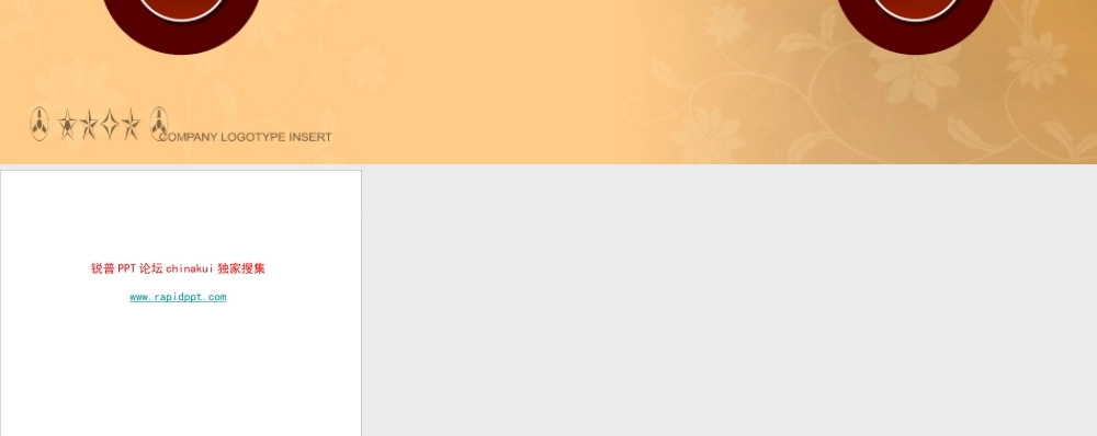 艳丽商务图表www.rapidppt.com (4).pptx