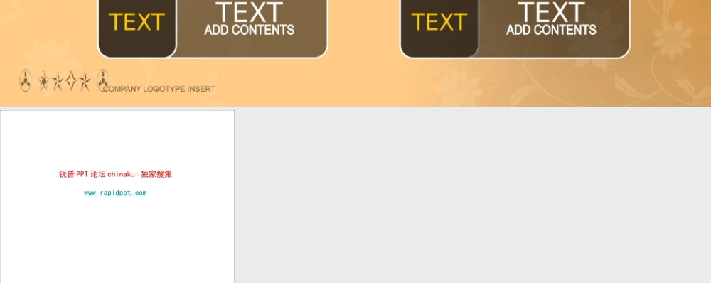 艳丽商务图表www.rapidppt.com (5).pptx