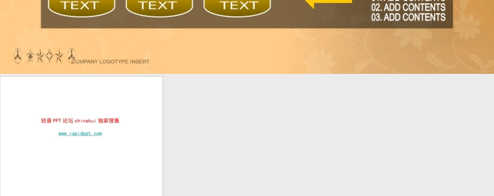 艳丽商务图表www.rapidppt.com (13).pptx