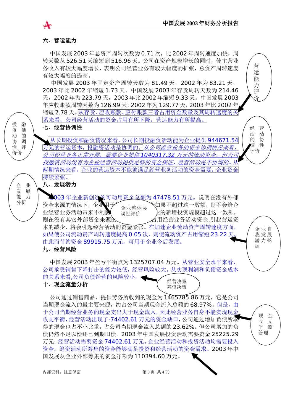 中国发展2003年财务分析报告(结论性报告).doc_第3页
