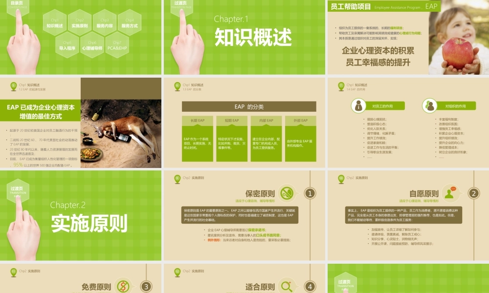 亮亮图文唯美模板 (3).ppt