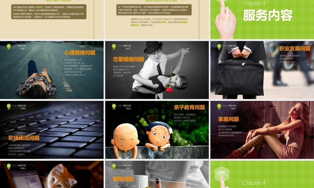 亮亮图文唯美模板 (3).ppt