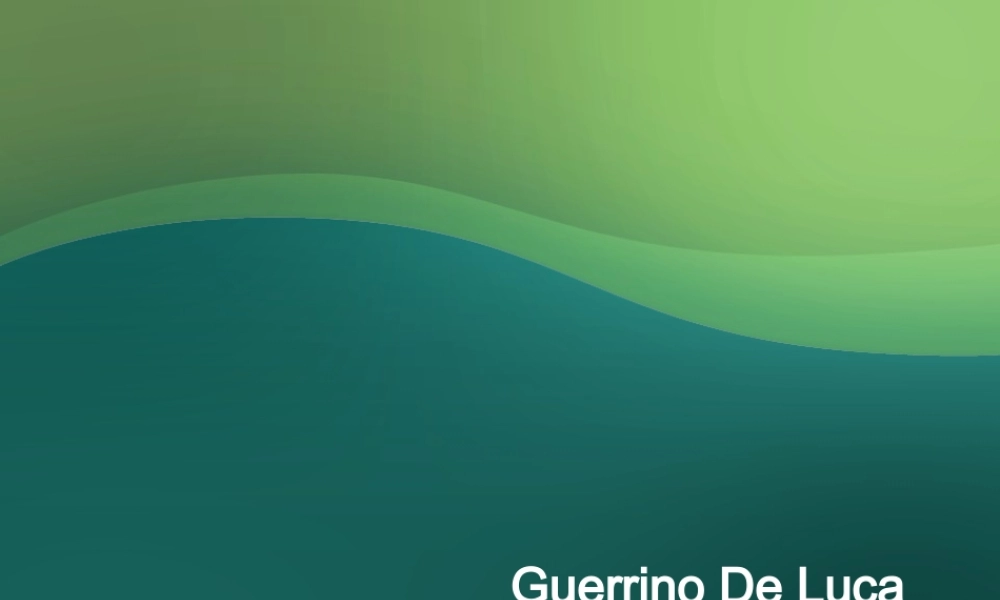 罗技总裁-品推PPT.ppt