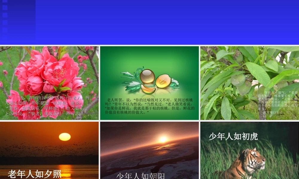 青年与老年_哲理小故事51urr.ppt