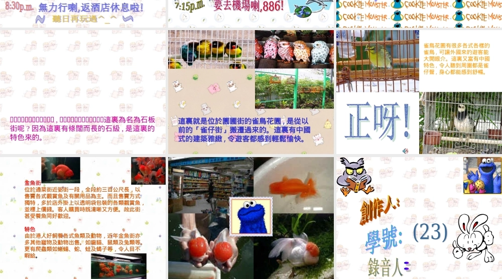 旅游行程设计.ppt