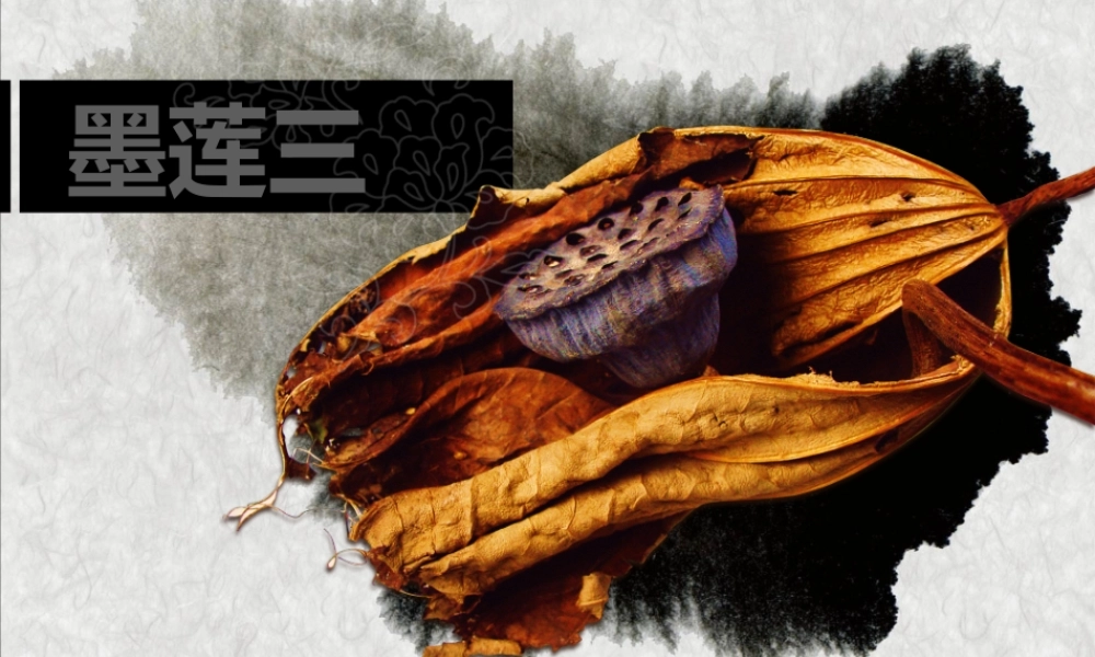 亮亮图文-模板72.pptx