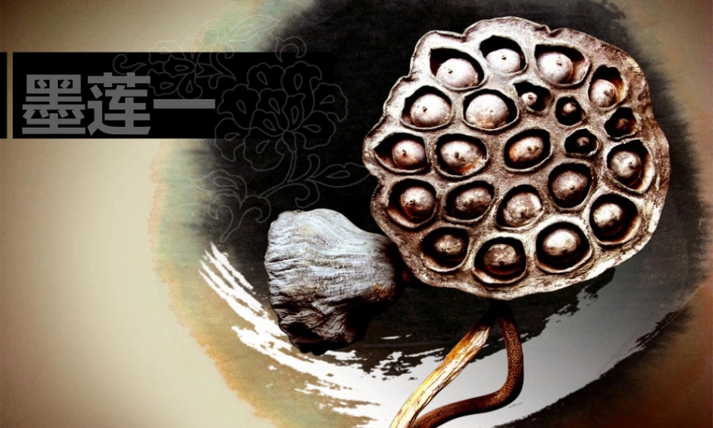 亮亮图文-模板75.pptx