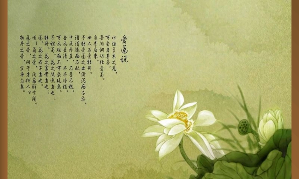 亮亮图文-模板91.pptx