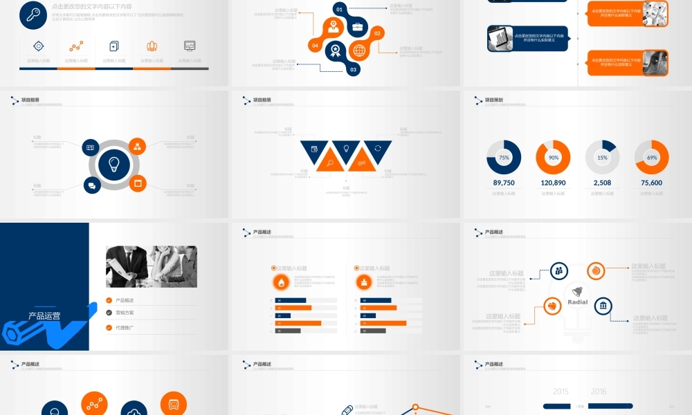 亮亮图文---商业计划书43.pptx