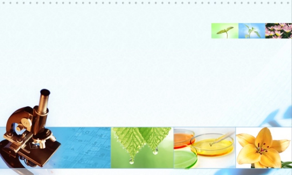 亮亮图文-医疗护士20.pptx